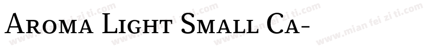 Aroma Light Small Ca字体转换